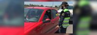 Irresponsables al volante: la gran cantidad de salteños detenidos por manejar borrachos