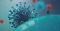 Desarrollan un mecanismo en Argentina que sería clave para acabar con el coronavirus