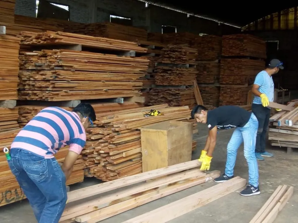 Un nuevo proyecto de ley podría reducir la deforestación y generar nuevos puestos de trabajo