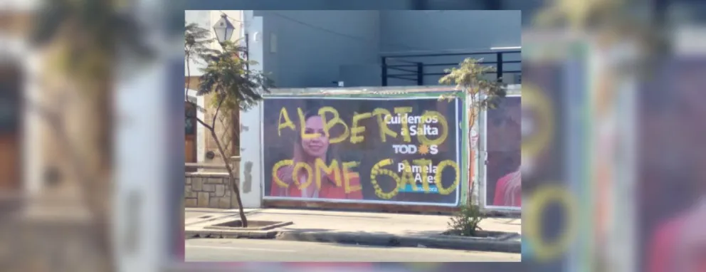 "Alberto come gato": vandalizaron en Salta el cartel político de una candidata senadora provincial