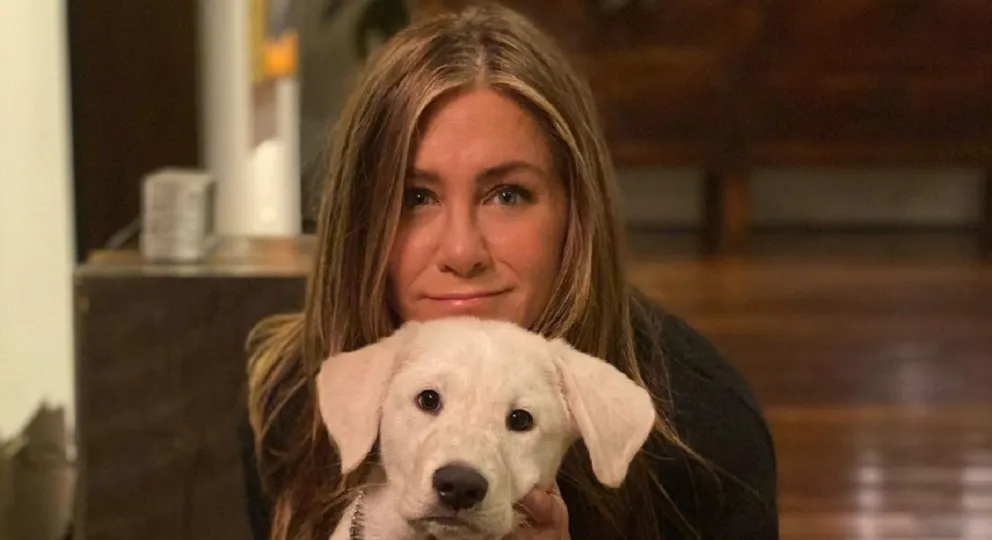 Jennifer Aniston causó furor