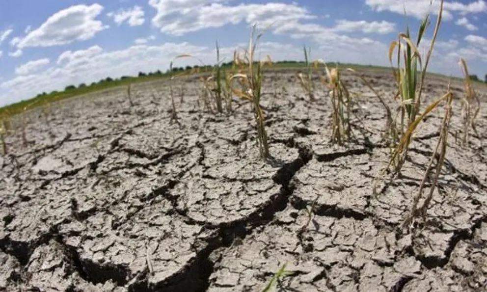 Emergencia agropecuaria en el Norte: uno de los proyectos que debatirá la Cámara de Senadores