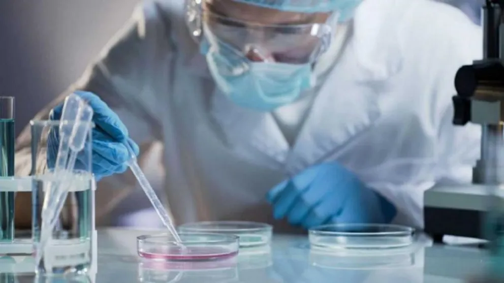 Alarma mundial: detectan una nueva variante de coronavirus en Sudáfrica