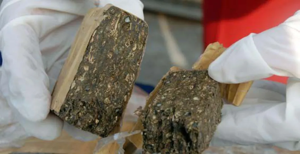 Tenían una enorme cantidad de marihuana encima y eran tres policias salteños