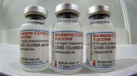 Cuarta dosis de la vacuna contra el COVID-19: las razones de Moderna para afirmar que es necesaria  