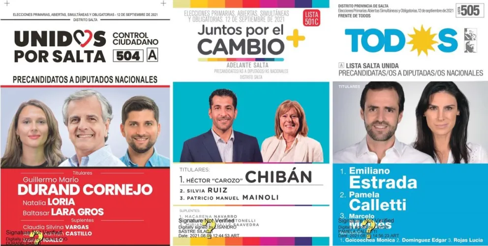 Elecciones PASO: una a una, las 11 boletas que habrá en Salta