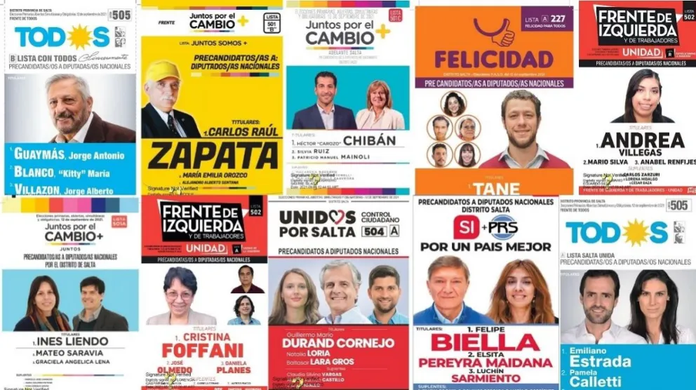 PASO 2021 en Salta: al entrar al cuarto oscuro, te vas a encontrar con estas boletas