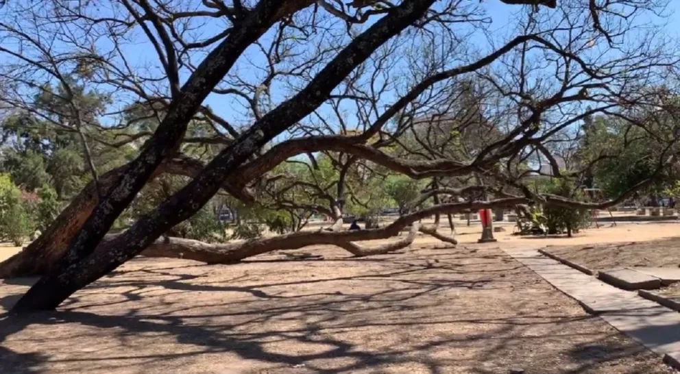 Parque San Martín. Fuente: (Twitter)