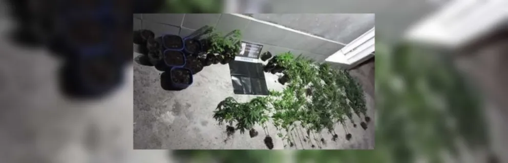 |FOTOS| Desbaratan una boca de expendio de drogas en pleno macrocentro: había de todo