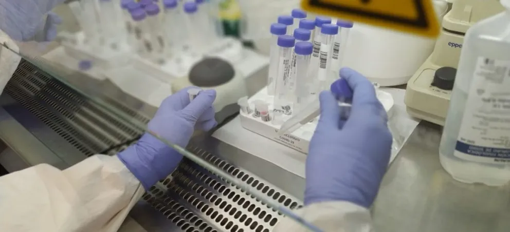 Confirmaron más de 20 nuevos casos de dos variantes del coronavirus en Salta