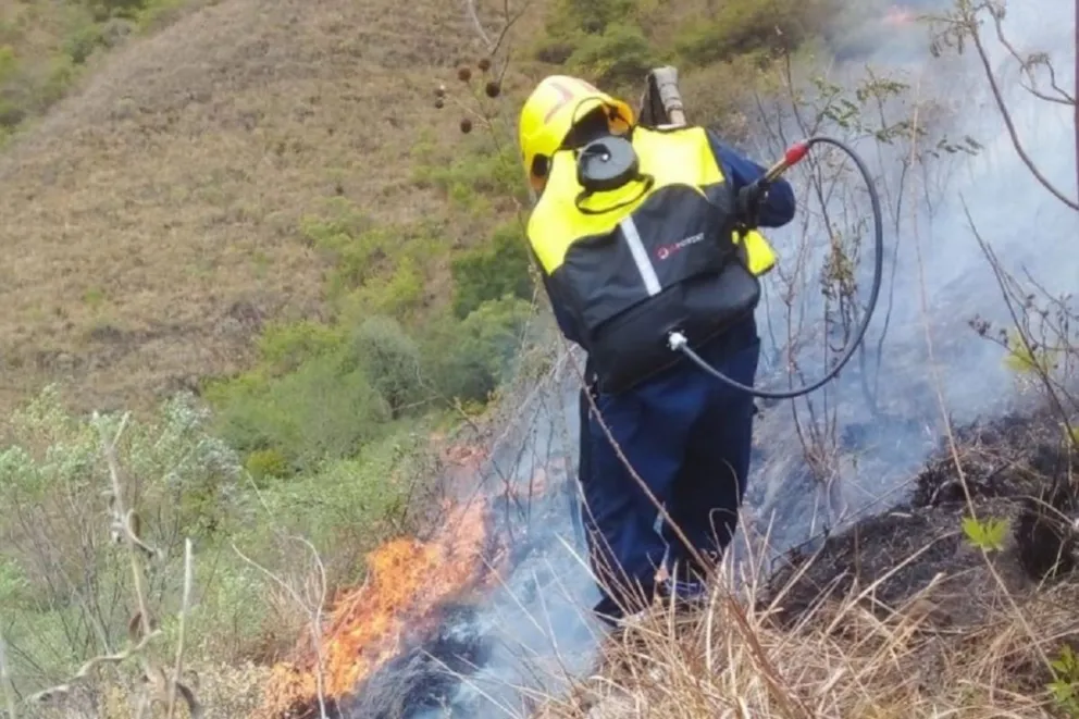 Incendio en un cerro de La Caldera: hay más de 120 hectáreas afectadas