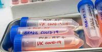 Confirman más de 40 nuevos casos de variantes del coronavirus en Salta