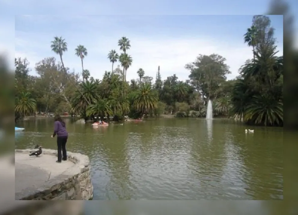Sospechosa muerte de peces en el lago del Parque San Martín: ¿Qué dicen los resultados sobre el estado del agua?