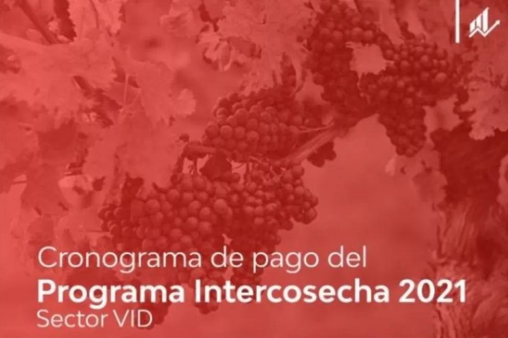 Pago del programa intercosecha para el sector de la Vid