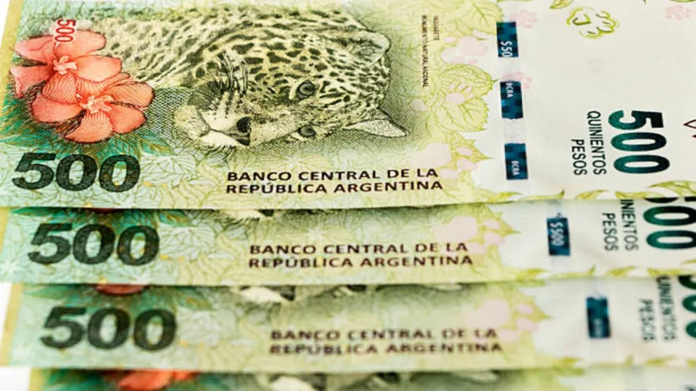 Bono de $5.000: tras la suspensión parcial, ¿cuándo se pagaría recién este subsidio?