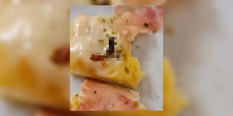 |FOTOS| Familia salteña pidió una pizza y esta vino con un asqueroso "ingrediente sorpresa"