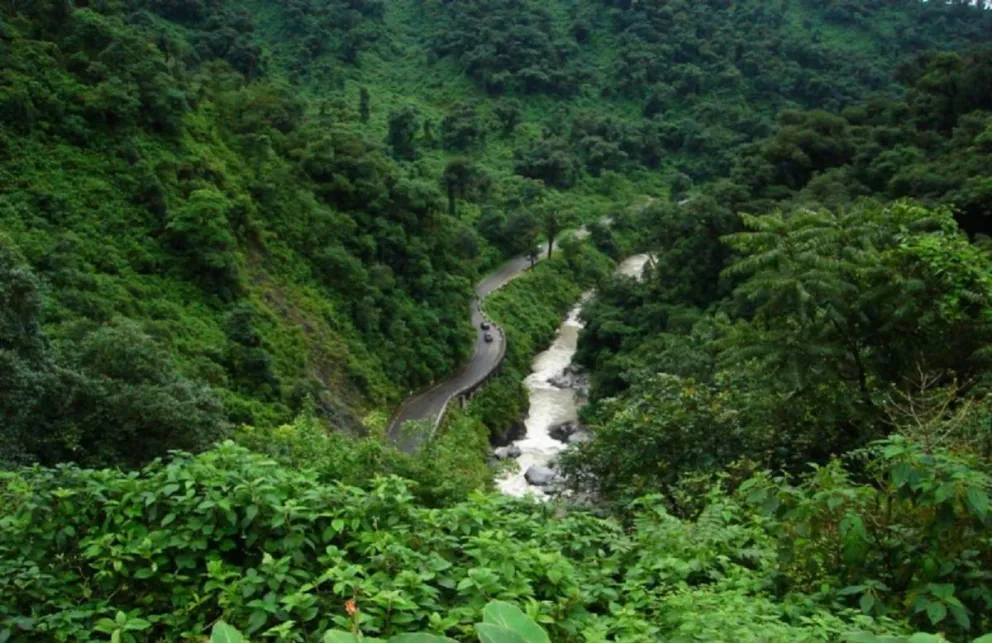 ¡Ecocidio en Las Yungas! Gravísima denuncia de ambientalistas contra una conocida firma 