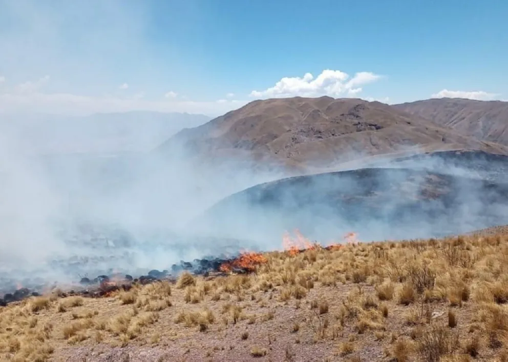 |IMPACTANTE VIDEO| Animales desesperados, huyen del fuego en Amblayo