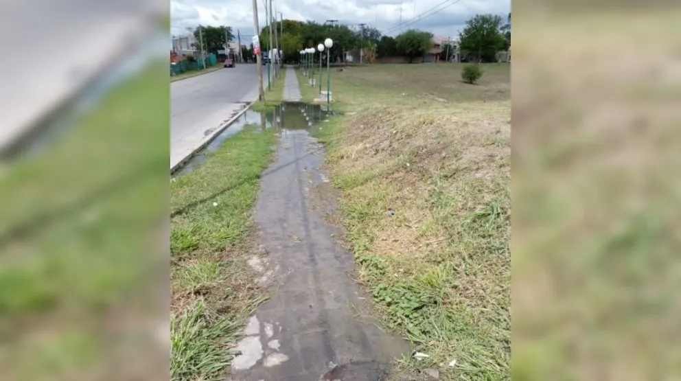 Crece el malestar entre vecinos de un barrio salteño: “No sabés el olor…”