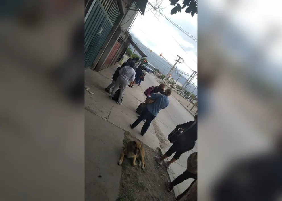 "Es una vergüenza el transporte público": vecinos llegan tarde a todos lados por la falta de colectivos