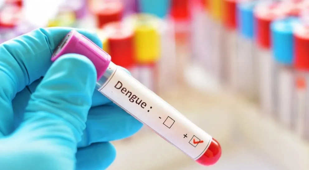 Gran preocupación por la cantidad de casos de dengue en la provincia