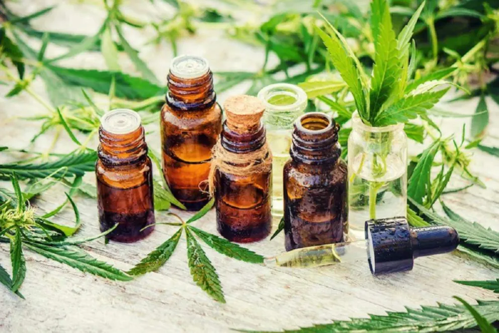 Foto: Cannabis Fuente: Twitter