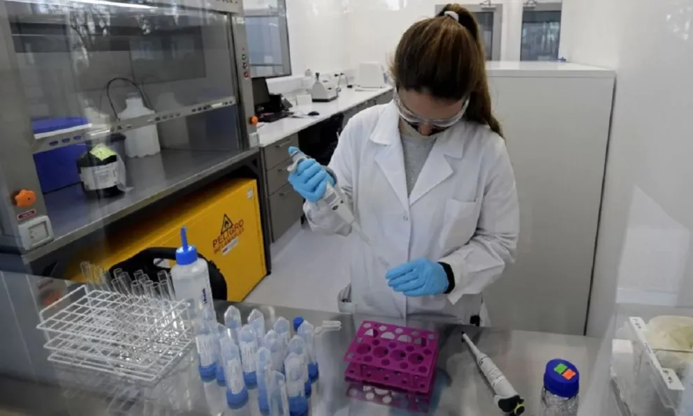 Coronavirus en Salta: considerable descenso en el número de casos