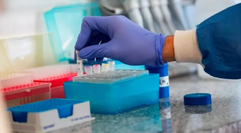 Coronavirus en Salta: sube la cantidad de casos de esta enfermedad 