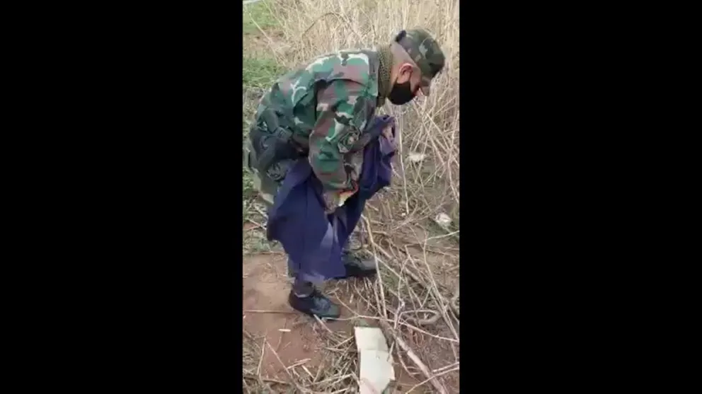 |VIDEO| ¡No era el michi! Apareció un curioso animalito en la casa de unos salteños
