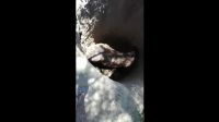 |VIDEO| Miedo y desesperación en Salta por la caída de un animal adentro de un profundo pozo