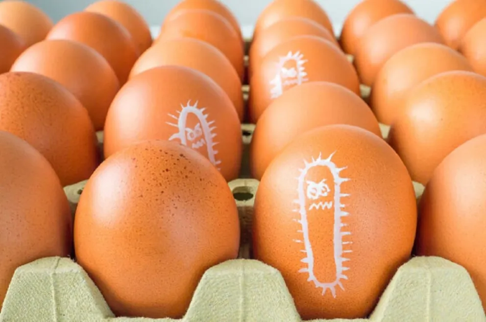 Alarma: aumento exponencial en casos de salmonella en la provincia