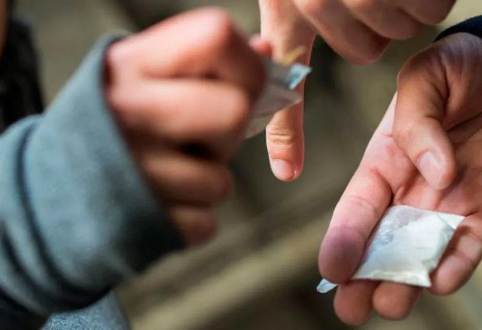 Golpe al narcotráfico salteño: un hombre fue detenido con una enorme cantidad de cocaína y marihuana en su poder