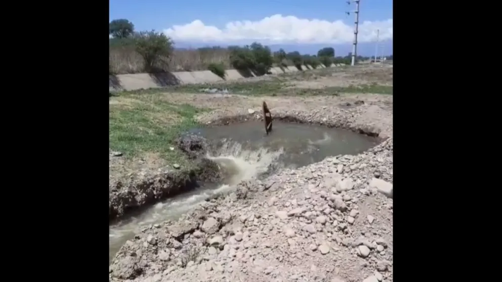 |VIDEO| Cientos de vecinos cortan la Ruta 26: hay malos olores y contaminación por una cloaca rota