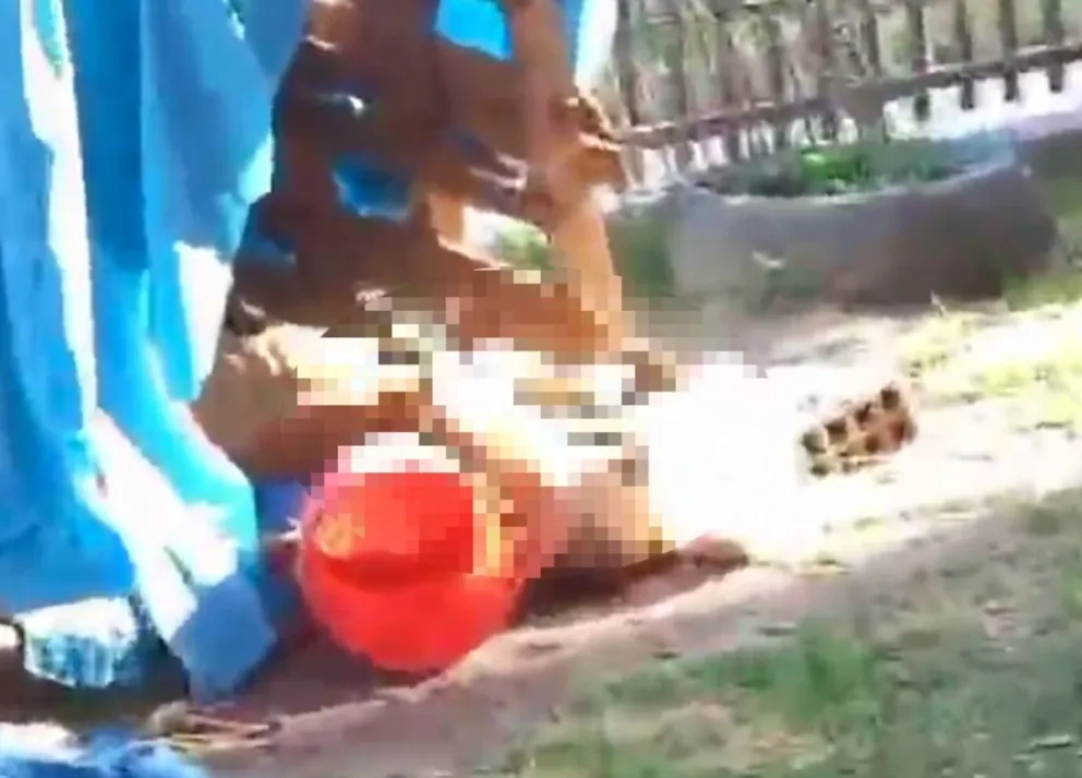 |IMÁGENES SENSIBLES| Exponen un terrible caso de maltrato animal: "El bebé estaba a la vista de todos"