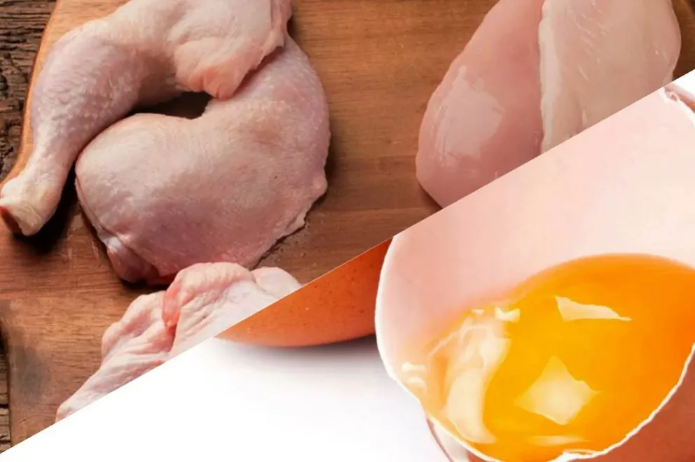 Salmonella en Salta: se extienden los contagios hacia lugares impensados