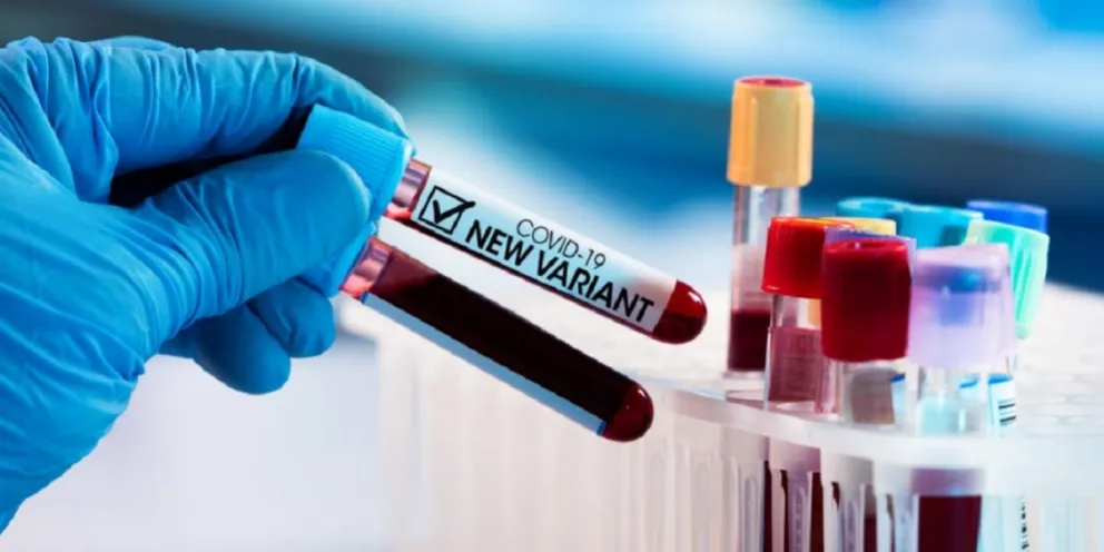 Qué son las nanoburbujas naturales y por qué creen que podrían bloquear la infección por coronavirus