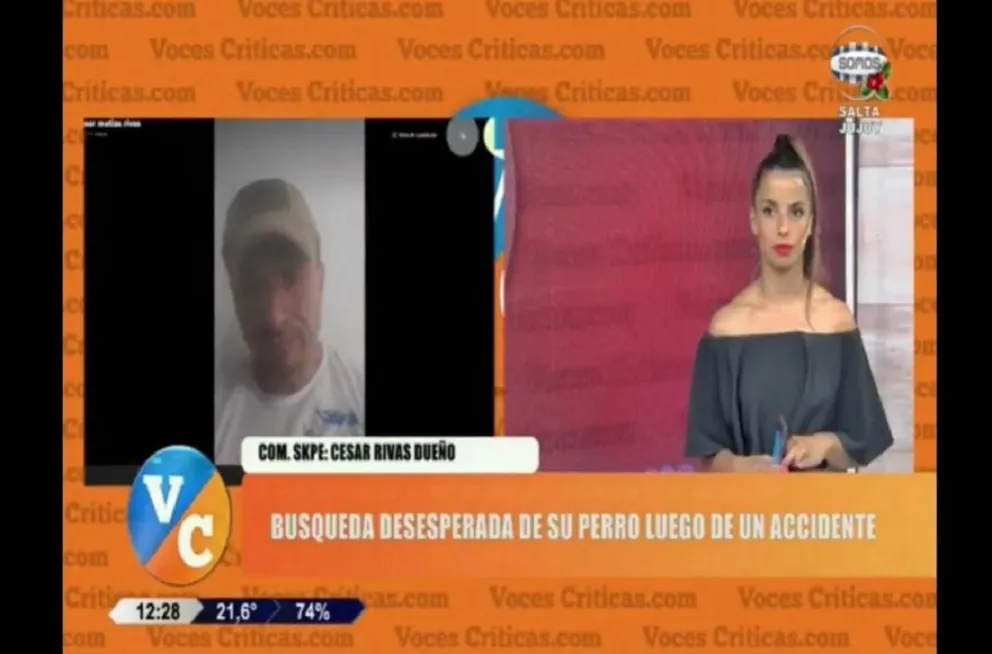 Tuvo un accidente, perdió a su "mejor amigo" y ahora lo busca desesperado