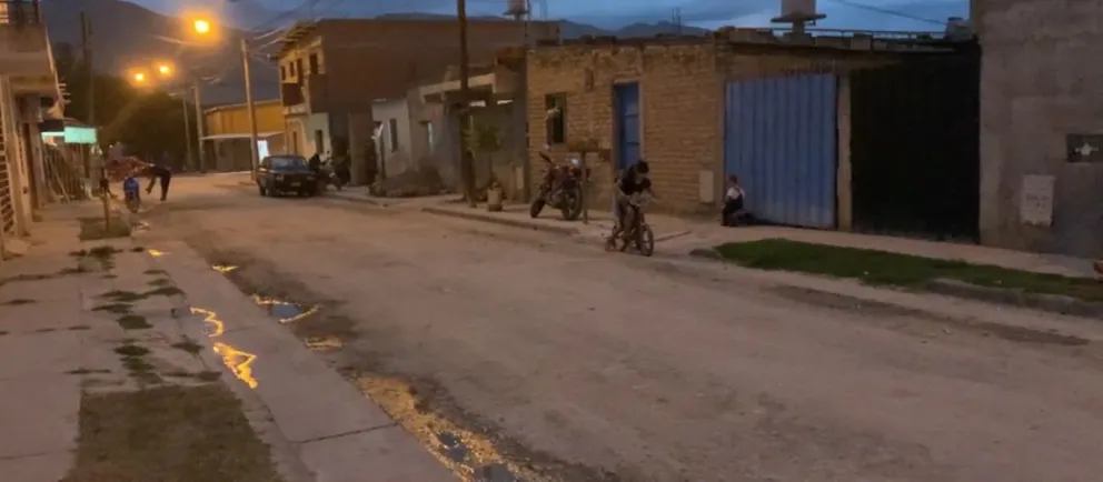 Terror y desesperación en un barrio salteño por un pitbull que descuartizó a una perrita