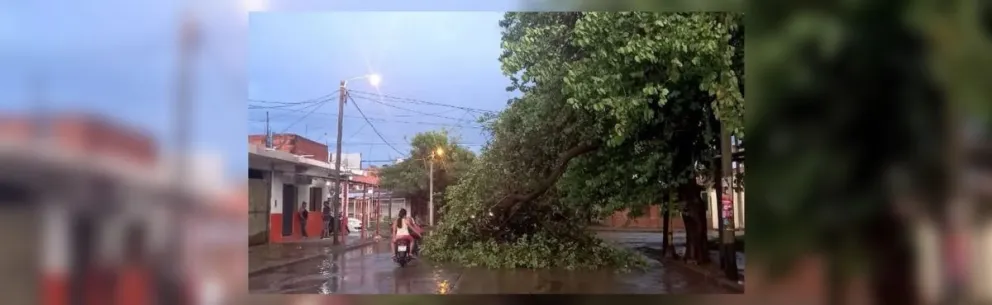 Tormenta, árboles caídos y heridos: el duro temporal que azota al norte salteño