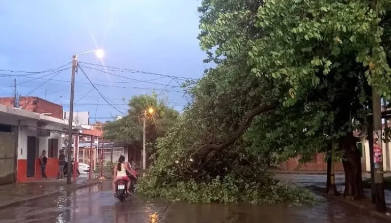 Temporal
