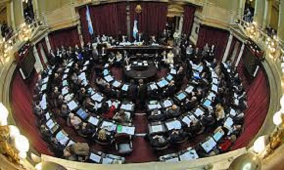 Foto: Cámara de Senadores. Fuente: Twitter