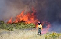 Tremendo incendio forestal en Río Negro y Neuquén en 3 mil hectáreas