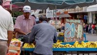 Qué pasará con los fruteros en Salta: las posibilidades que se barajan