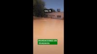 |TERRIBLE VIDEO| La crecida de ríos sigue causando estragos en Salta: el agua se llevó hasta un horno