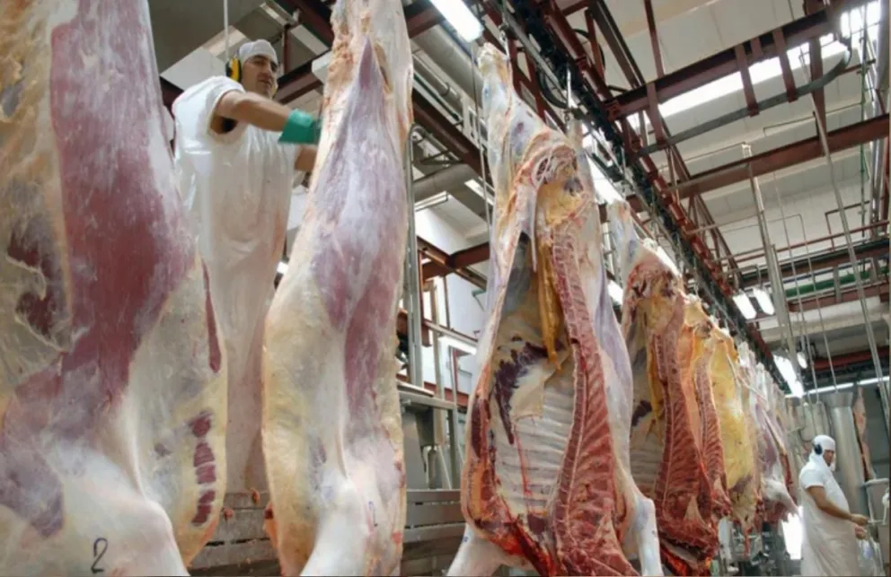 Freno a las exportaciones: cuáles serían los cortes de carne que ya no juegan en el mercado internacional