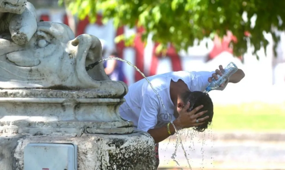 Por la ola de calor en Europa, crece el número de fallecidos