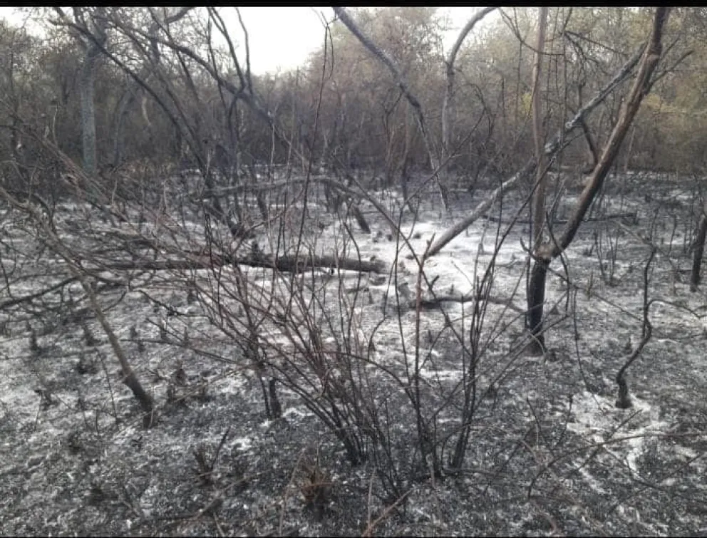 |FOTOS| En medio de la ola de calor, siguen los incendios forestales en el interior salteño