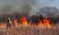 Argentina está en llamas: se reportaron incendios en varias provincias 