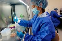 Coronavirus en Salta: la cantidad de casos se cuenta con una mano