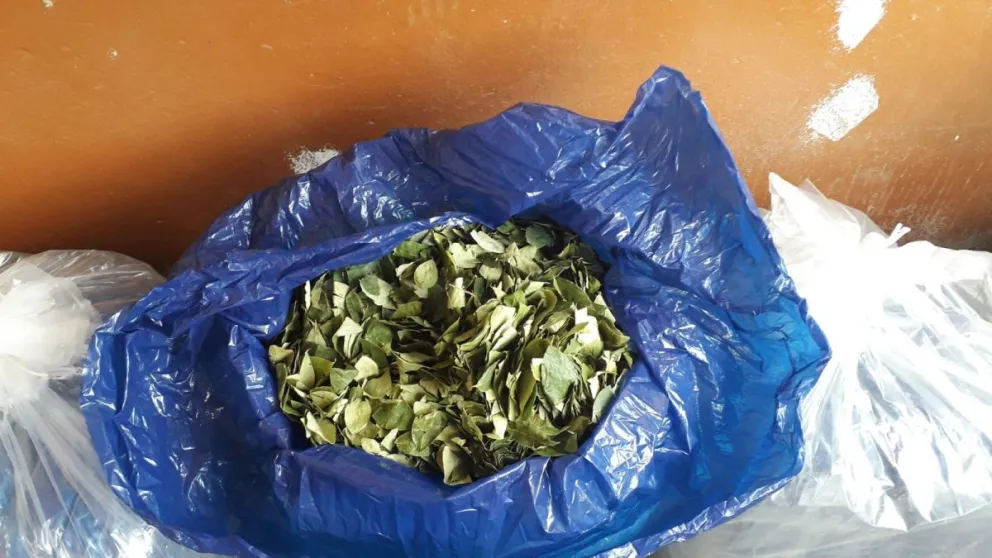 Les sacaron todos los “víveres”: salteños llevaban más de 600 kilos de hojas de coca